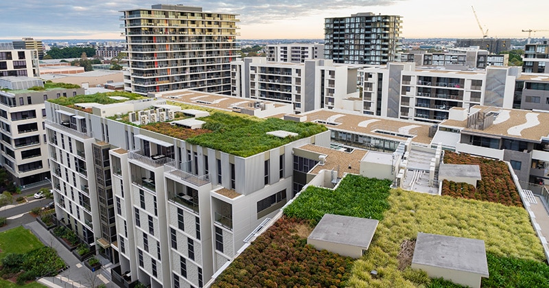 Green Roofs in an Urban Setting