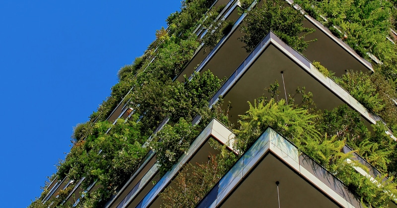 Several Floors of Green Roofs on a Building