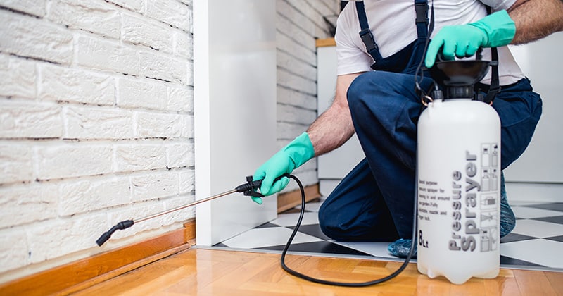 Pest Control Pro Spraying a Baseboard