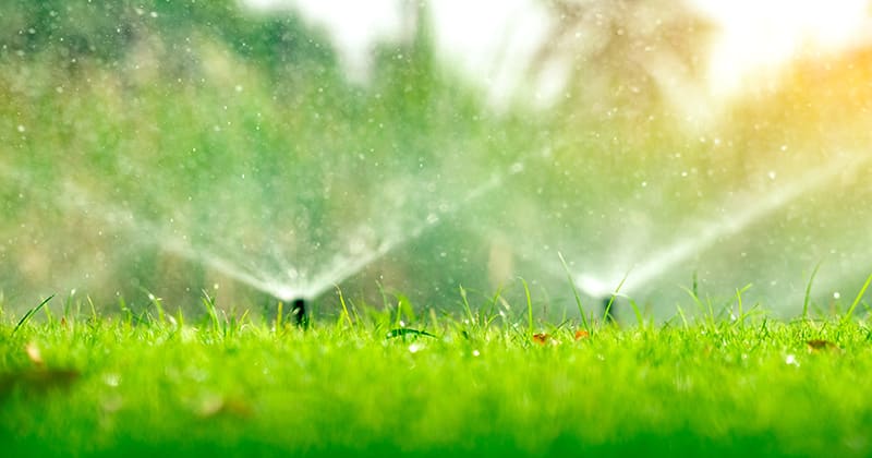 Sprinklers in a Yard