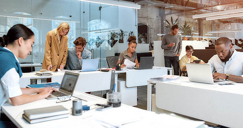 Staffing Agency Working In An Office