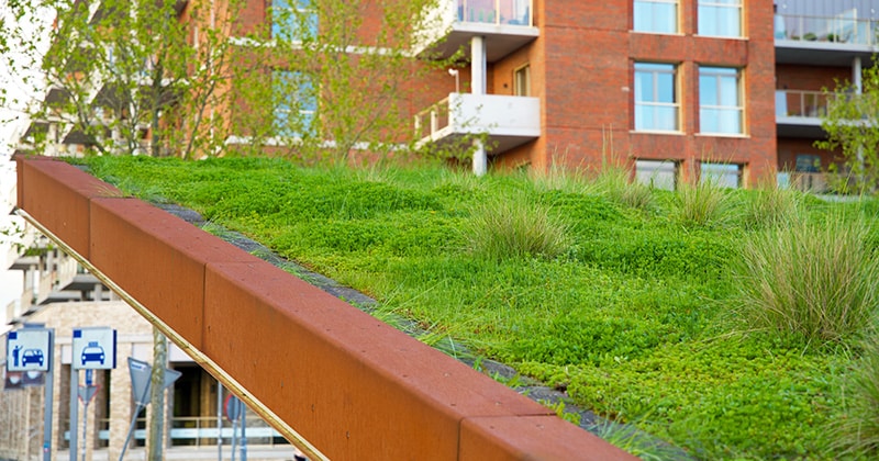 Building with a Green Roof