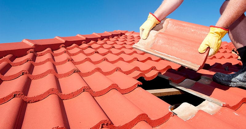 Roofer Placing a Shingle on a Roof