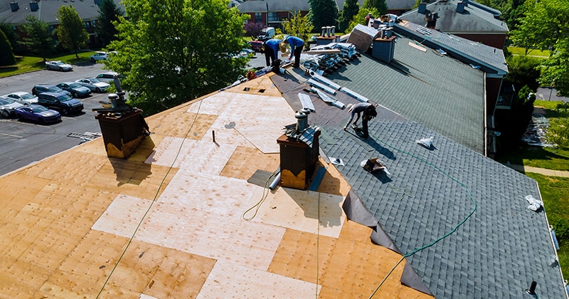 Roofers Installing Shingles on a Large Roof