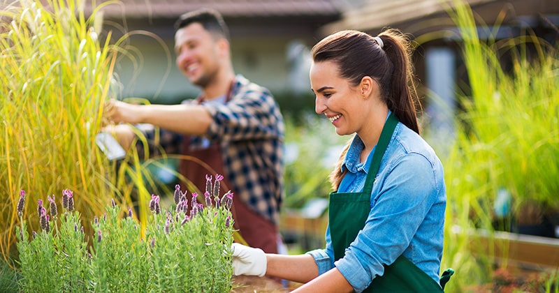 Female and male landscaper working on flowers and laughing