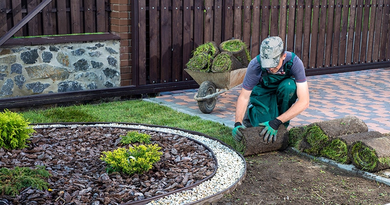 Landscaper rolling out grass on the job