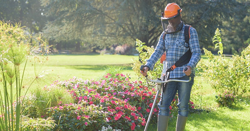 Landscaper-trimming-weeds