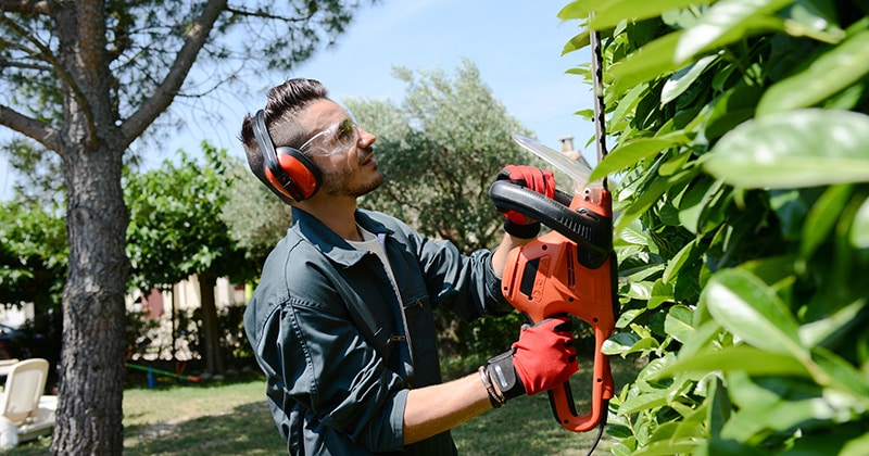 Young male landscaper trimming hedgerow in park outdoors