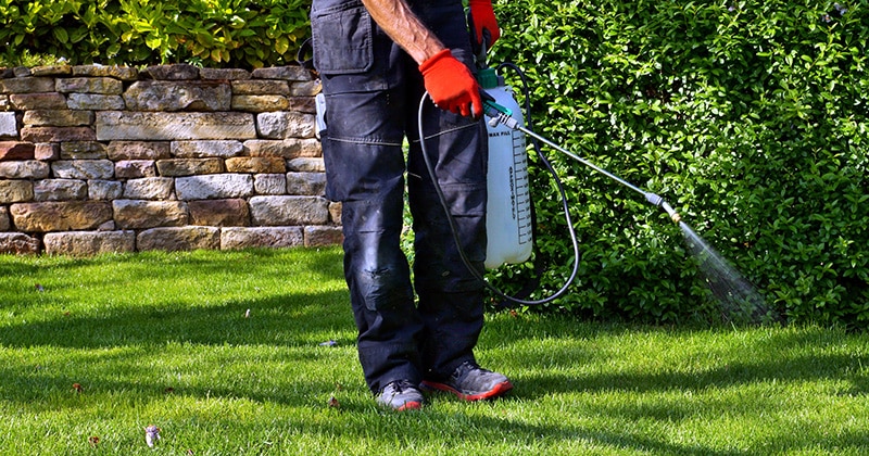 Pest control worker spraying solution on grass