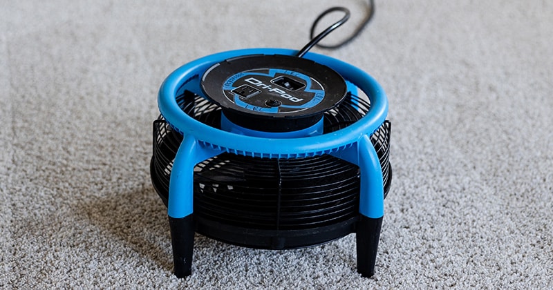 Fan drying carpet