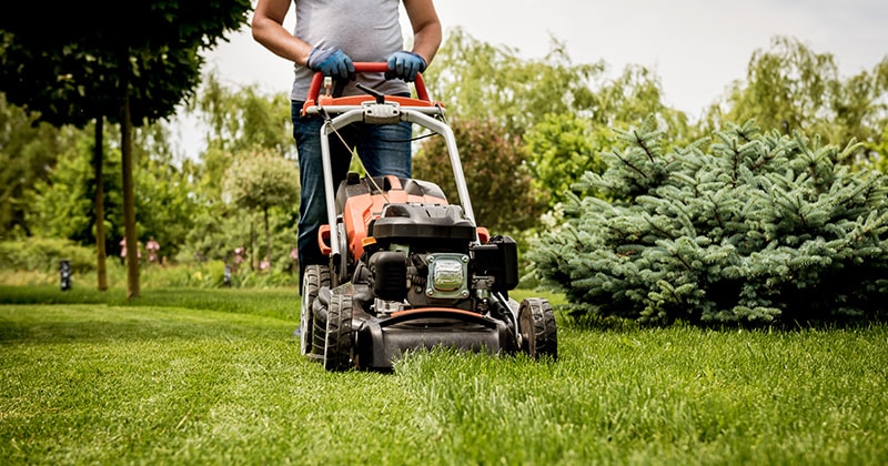 Landscaper pushes lawnmower