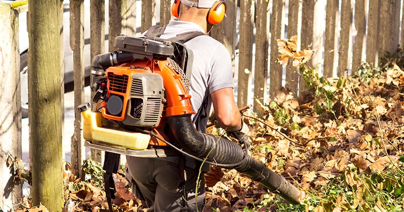 Man uses a commercial leaf blower