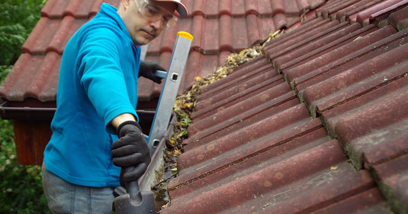 Person on ladder cleans gutter on the roof