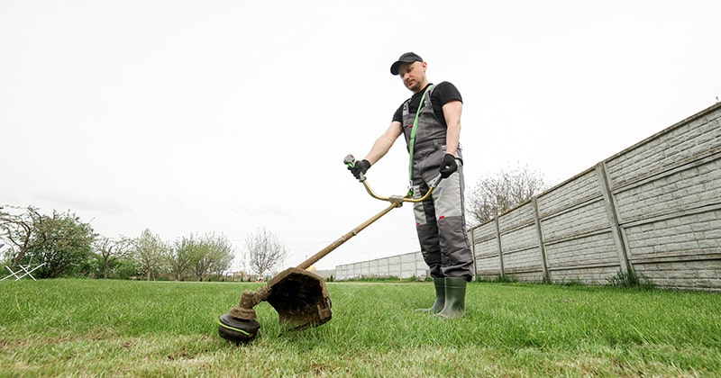 Worker mows weeds with lawn trimmer