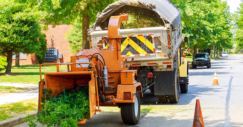 Large branch fed into wood chipper