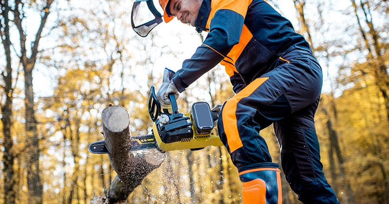 Professional lumberjack in protective gear working with chainsaw in forest