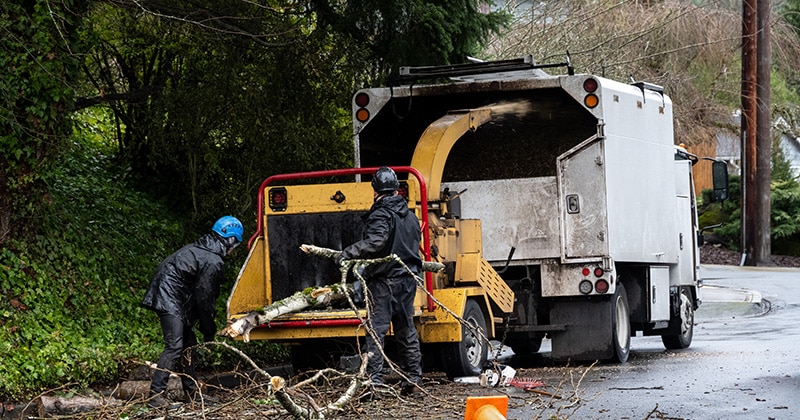 Two workers feed tree branches into commercial tree chipper