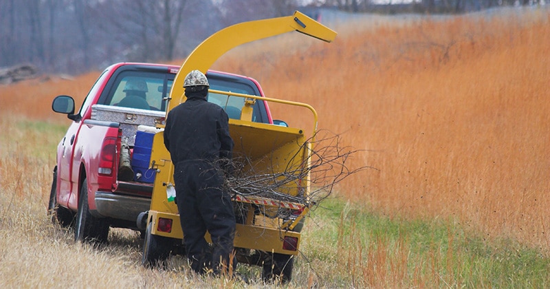 Worker chipping branches with tree chipper